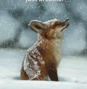 Meet your Posher, Charlene